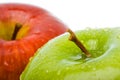 Two wet apples closeup Royalty Free Stock Photo