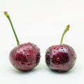 Two wet cherries on a white background Royalty Free Stock Photo