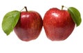 Two wet red apples