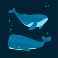 Two whales. Ocean animals in trendy flat style.