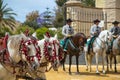 Two white andalusian horses with 3 jockeys to rearRegistrar versiÃÂ³n: