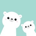 Two white bear face head icon set. Cute kawaii animal. Cartoon funny baby character. Kids print for poster, t-shirt. Love.