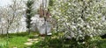 Two white Beehives of a suburban hobbyist apiarist used for the purpose of production of honey and pollination of nearby apple and