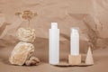 Two white blank cosmetic tube with cream, lotion or shampoo, stones, geometric shape, dried plant flowers on beige craft Royalty Free Stock Photo