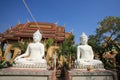 Two white buddha statues in front of temple Royalty Free Stock Photo