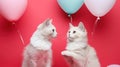 Two white cats sitting next to each other with balloons in the background, AI Royalty Free Stock Photo