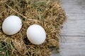 Two white chicken eggs lie in the hay on a blurry wooden background. Selective focus. Space for lettering and design Royalty Free Stock Photo