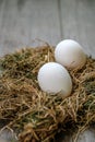 Two white chicken eggs lie in the hay on a blurry wooden background. Selective focus. Space for lettering and design Royalty Free Stock Photo