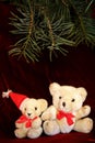 Two White Christmas teddy