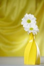 Two white chrysanthemum flowers in a clay vase on yellow