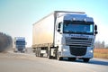 Two White DAF XF Semi Trucks on the Road