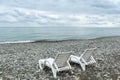 Two white deck chairs in front of seashore Royalty Free Stock Photo