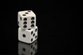 Two White Dice Stacked On Black Background Royalty Free Stock Photo