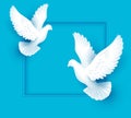 Two white dove fly on blue background Royalty Free Stock Photo