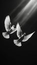 Two white doves fly on a black aesthetic background with sun rays. Peace concept. Generative AI