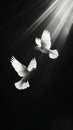 Two white doves fly on a black aesthetic background with sun rays. Peace concept. Generative AI