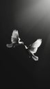 Two white doves fly on a black aesthetic background with sun rays. Peace concept. Generative AI