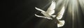 Two white doves fly on a black aesthetic background with sun rays. Peace concept. Generative AI