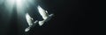 Two white doves fly on a black aesthetic background with sun rays. Peace concept. Generative AI