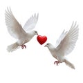Two white doves with heart, isolated on white background Royalty Free Stock Photo