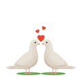 Two white doves in love. Love birds. Royalty Free Stock Photo