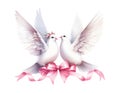 Two white doves in love, Wedding invitation, pair of doves with a pink bow. Watercolor Royalty Free Stock Photo