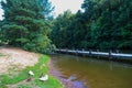 Two white ducks and one brown duck standing on the banks of the lake surrounded by lush green grass Royalty Free Stock Photo