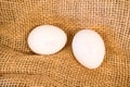 Two White Eggs with Expiration Date on Burlap Royalty Free Stock Photo