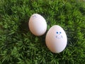Two white eggs lying in grass feild raw Royalty Free Stock Photo