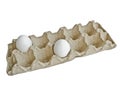 Two white eggs in the package for eggs from the chicken farm. Last egg stocks. Royalty Free Stock Photo