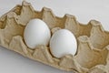 Two white eggs in the package for eggs from the chicken farm. Royalty Free Stock Photo