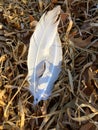 Two white feathers sitting on a bed of dried leaves and grass