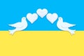 Two white figurines of a doves of peace with hearts in their beaks on the background of the colors of the flag of Ukraine. Concept