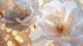 Two White Flowers Close Up on Blurry Background Royalty Free Stock Photo