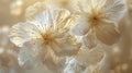 Two White Flowers Close Up on Blurry Background Royalty Free Stock Photo