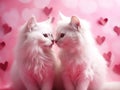 Two white fluffy lovesick cats are sitting next to each other on a pink background