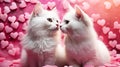 Two white fluffy lovesick cats are sitting next to each other on a pink background