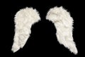 two white furry wings isolated on black background, festive mockup