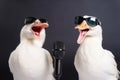 Two white goose singing a song created with generative AI technology Royalty Free Stock Photo