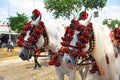 Two white horses in the Seville Fair, Andalusia, Spain Royalty Free Stock Photo