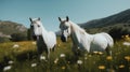 Two white horses standing in a field of flowers. Generative AI image. Royalty Free Stock Photo