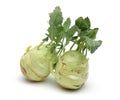 Two White kohlrabi