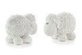 Two White Lambs Royalty Free Stock Photo