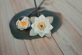 Two white lotus on a green leaf. Freshly picked. Flower composition. On wooden background