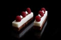 Two white mascarpone cheese mousse sheet cake slices with raspberries and meringues on brownie base Royalty Free Stock Photo