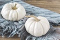 Two white mini pumpkins with a woolen scarf on a wooden table, autumn decoration Royalty Free Stock Photo