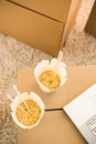 Two white noodles boxes