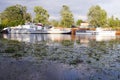 Two white old boats on the river Sozh gulf, Gomel city, Belarus, June, 16, 2016