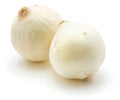 White Onion Royalty Free Stock Photo