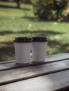 Two white paper cups of coffee on the background of a green park. Royalty Free Stock Photo